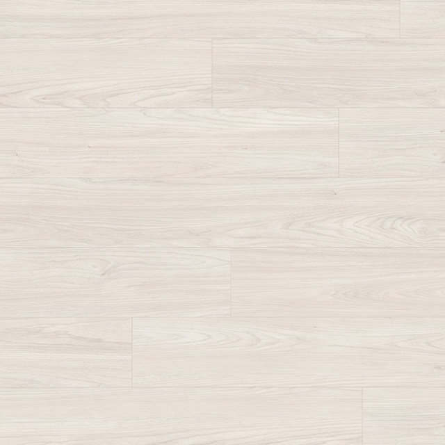 White Sheffield Acacia | Laminate Flooring | Aqua | 8mm